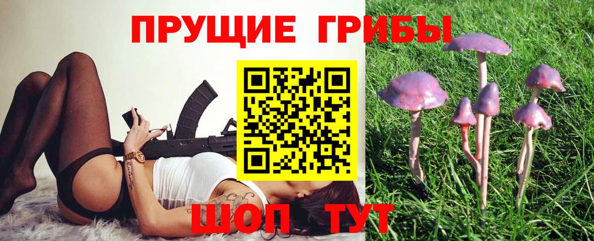 Ялта  Псилоцибиновые грибы ЛСД  Вход с VPN  Псилоцибиновые грибы Psilocybe 
